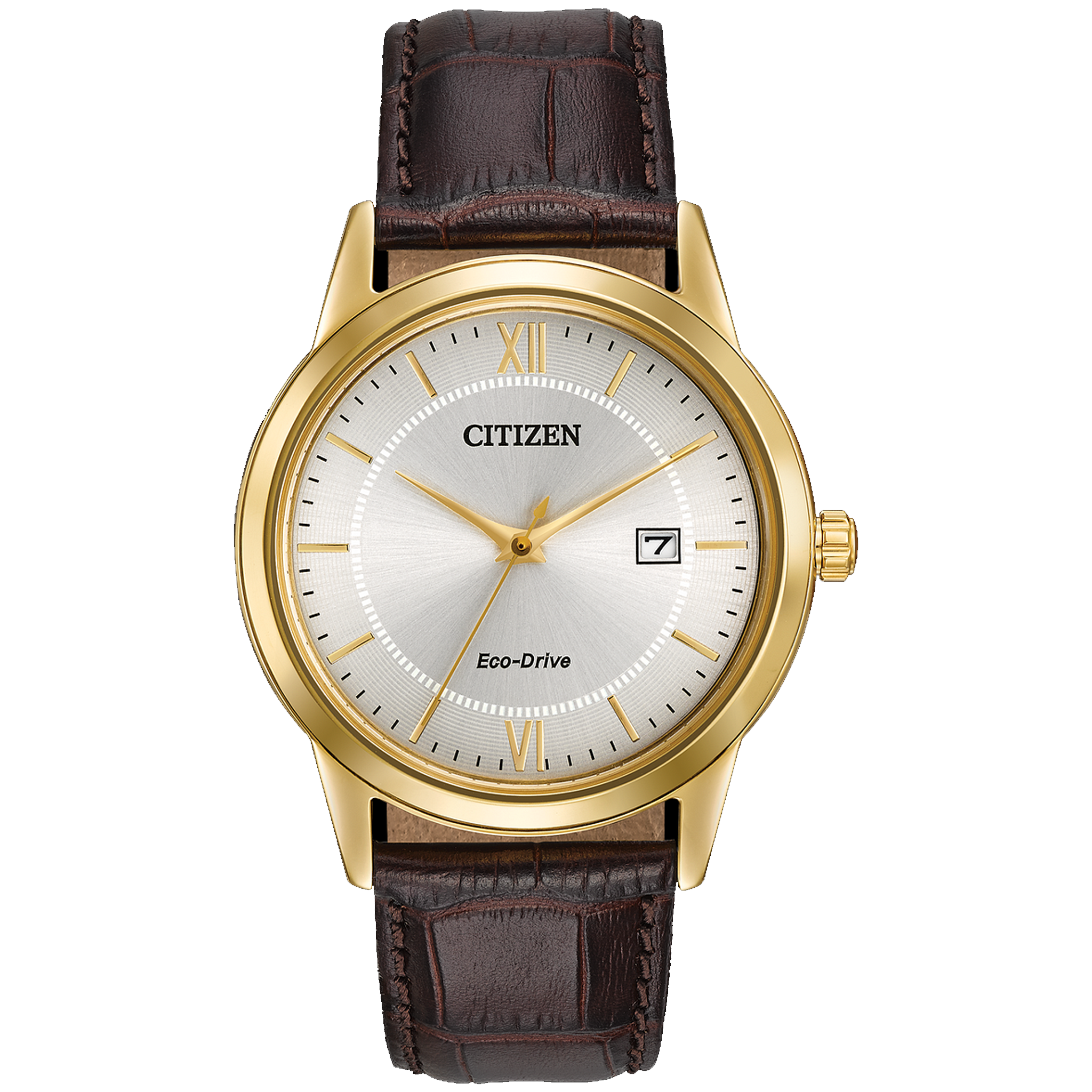 Citizen Eco-Drive - Gold with Brown Leather Strap