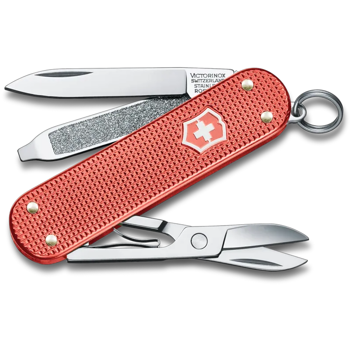 Victorinox - Small Swiss Army Knife - Classic ALOX 2025 Limited Edition