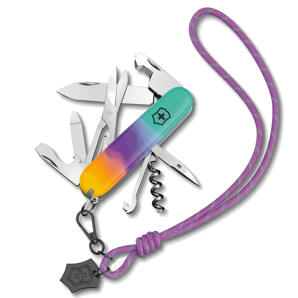 Victorinox - Small Swiss Army Knife 0.6223.94-X2