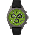 Timex - Expedition North Automatic - Titanium  2V96400