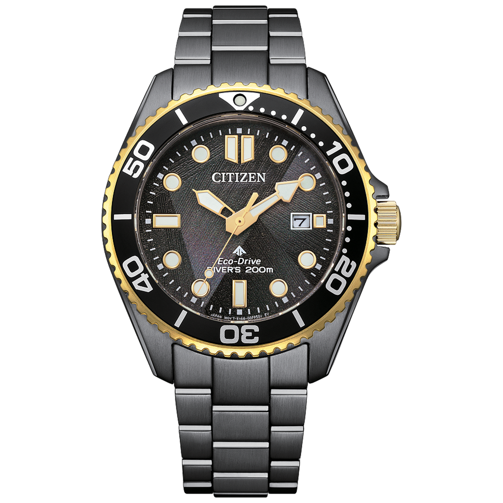 Citizen Eco-Drive - Promaster 41mm Divers