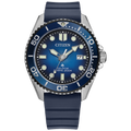 Citizen Eco-Drive - Promaster