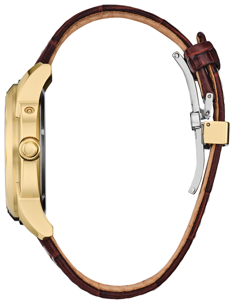 Citizen Eco-Drive - BU0082-06P