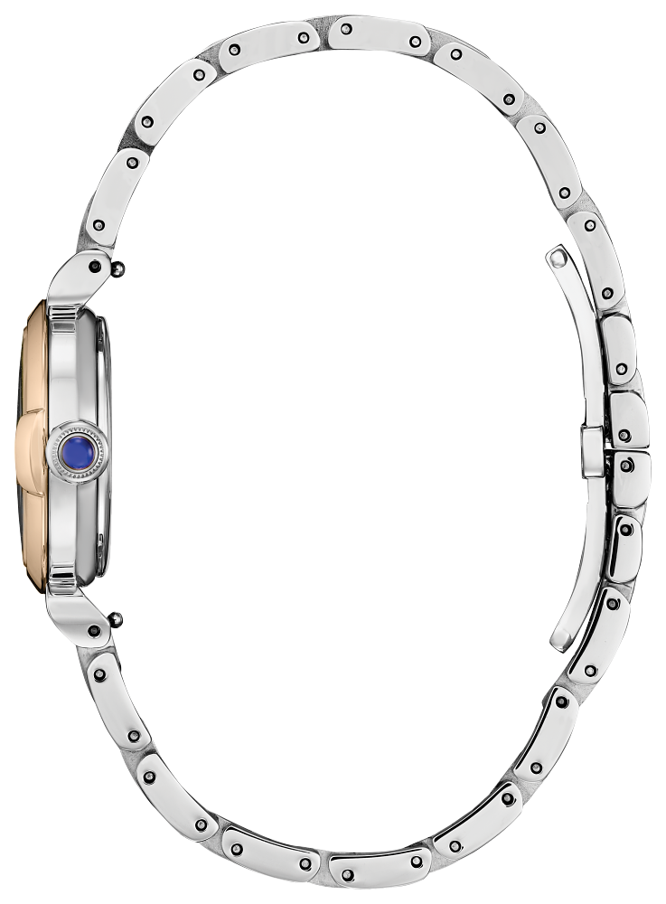 Citizen Eco-Drive - EM1136-87D