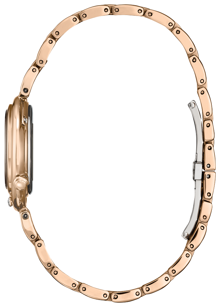 Citizen Eco-Drive - EM1113-58Y