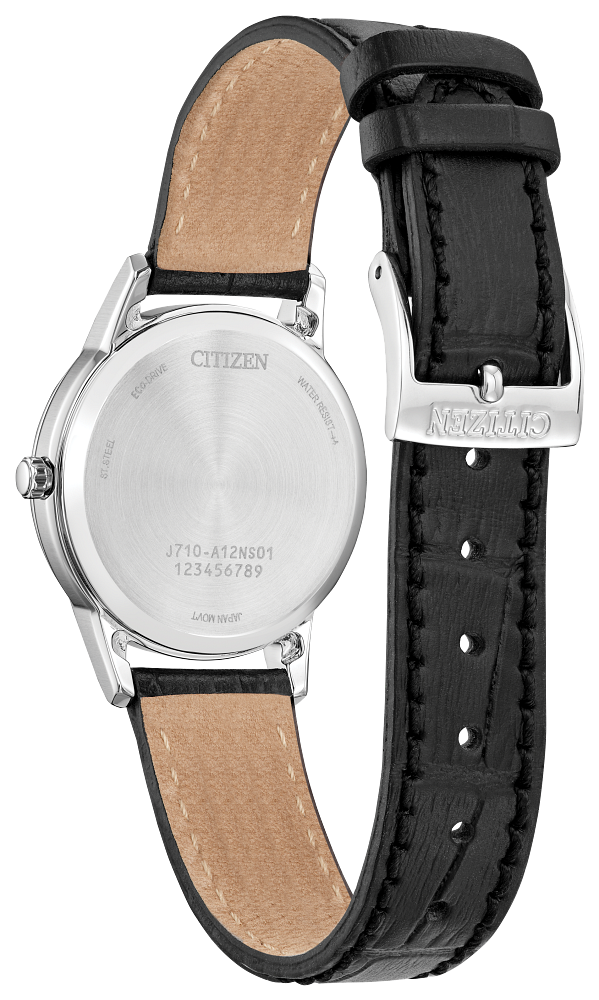 Citizen Eco-Drive - FE1087-01L