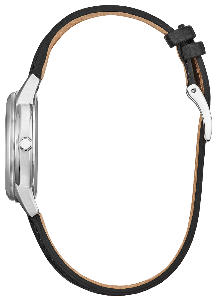 Citizen Eco-Drive - FE1087-01L