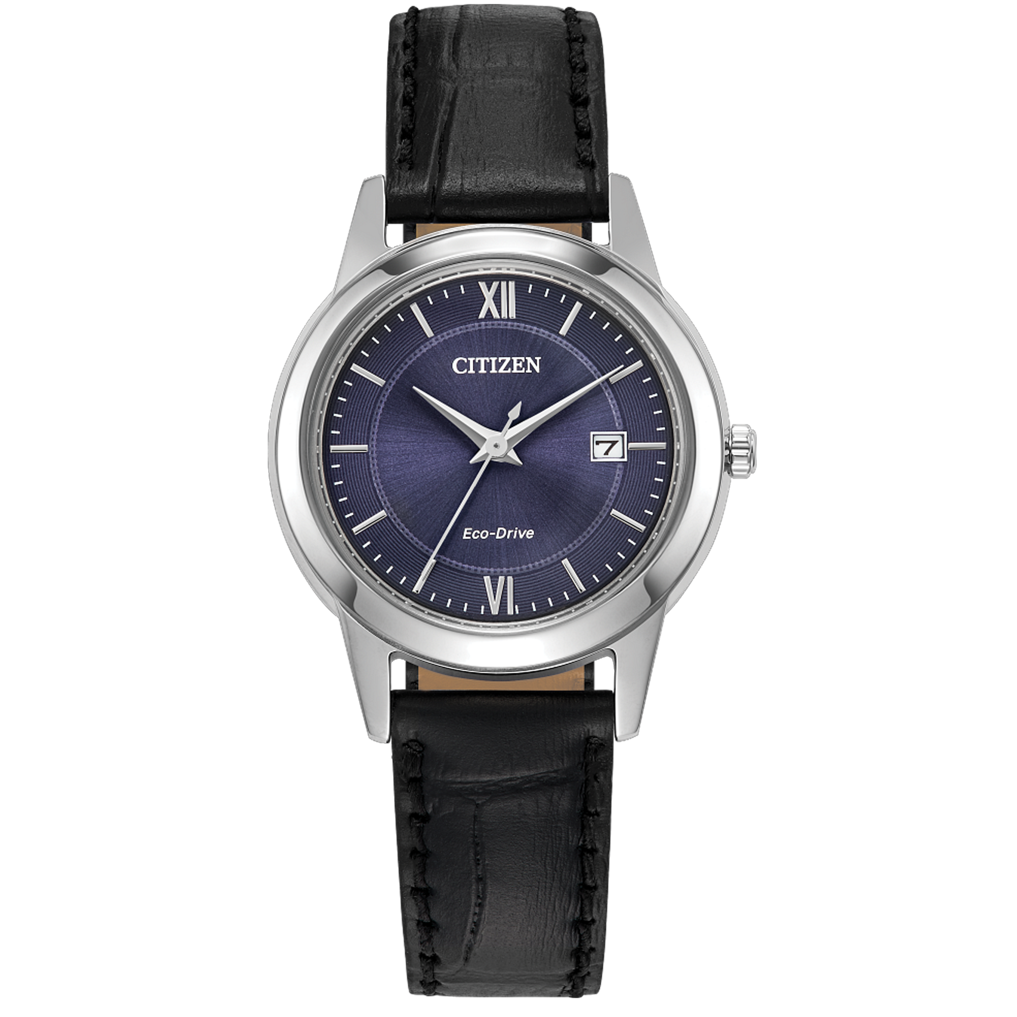 Citizen Eco-Drive - FE1087-01L