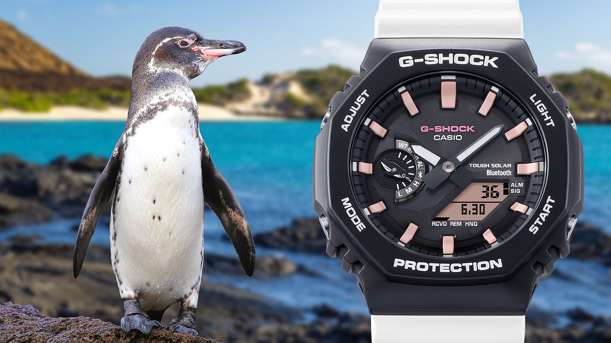 Casio G-Shock - Solar - Carbon GAB2100CD-1A7