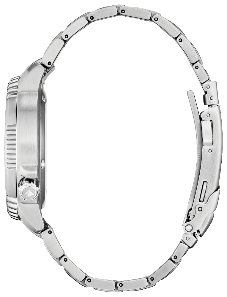 Citizen promaster diver stainless 2025 steel bracelet
