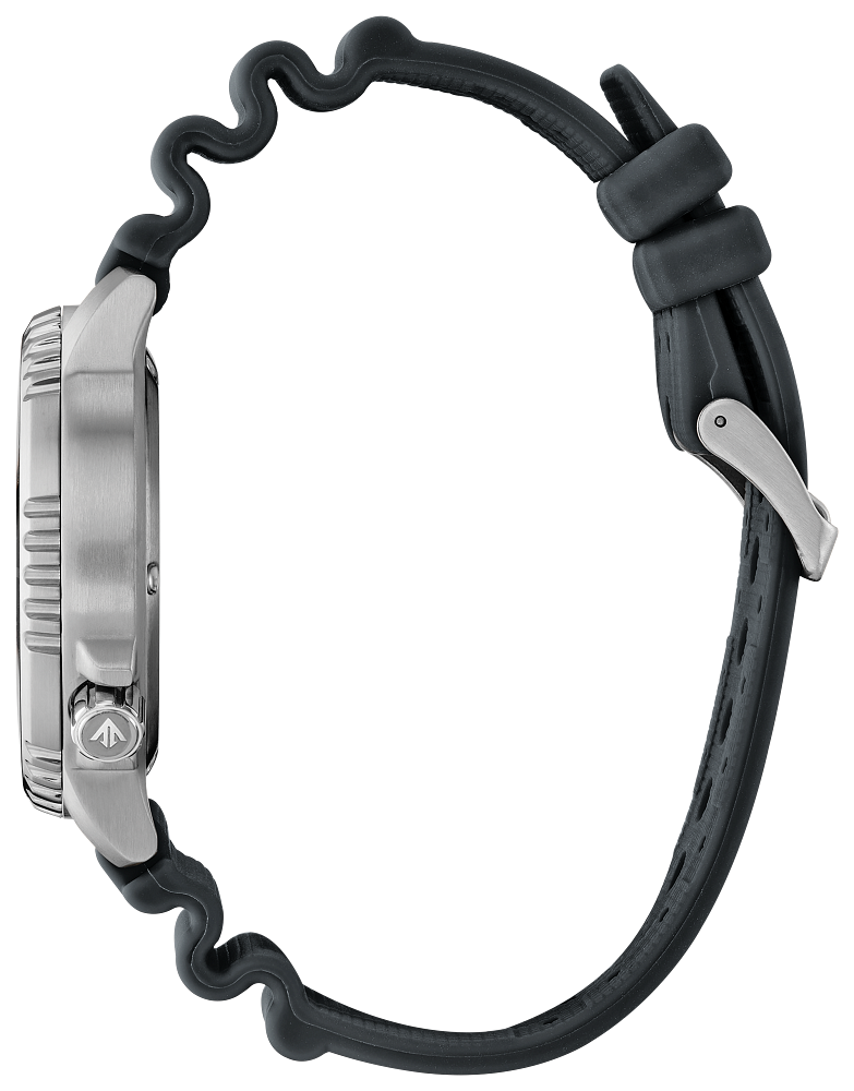 Citizen Eco-Drive - Promaster Divers - Limited Edition