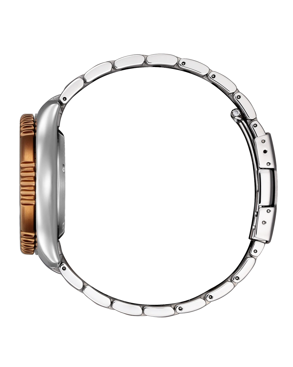 Citizen Automatic - Promaster FUGU - Brown Dial Limited Edition