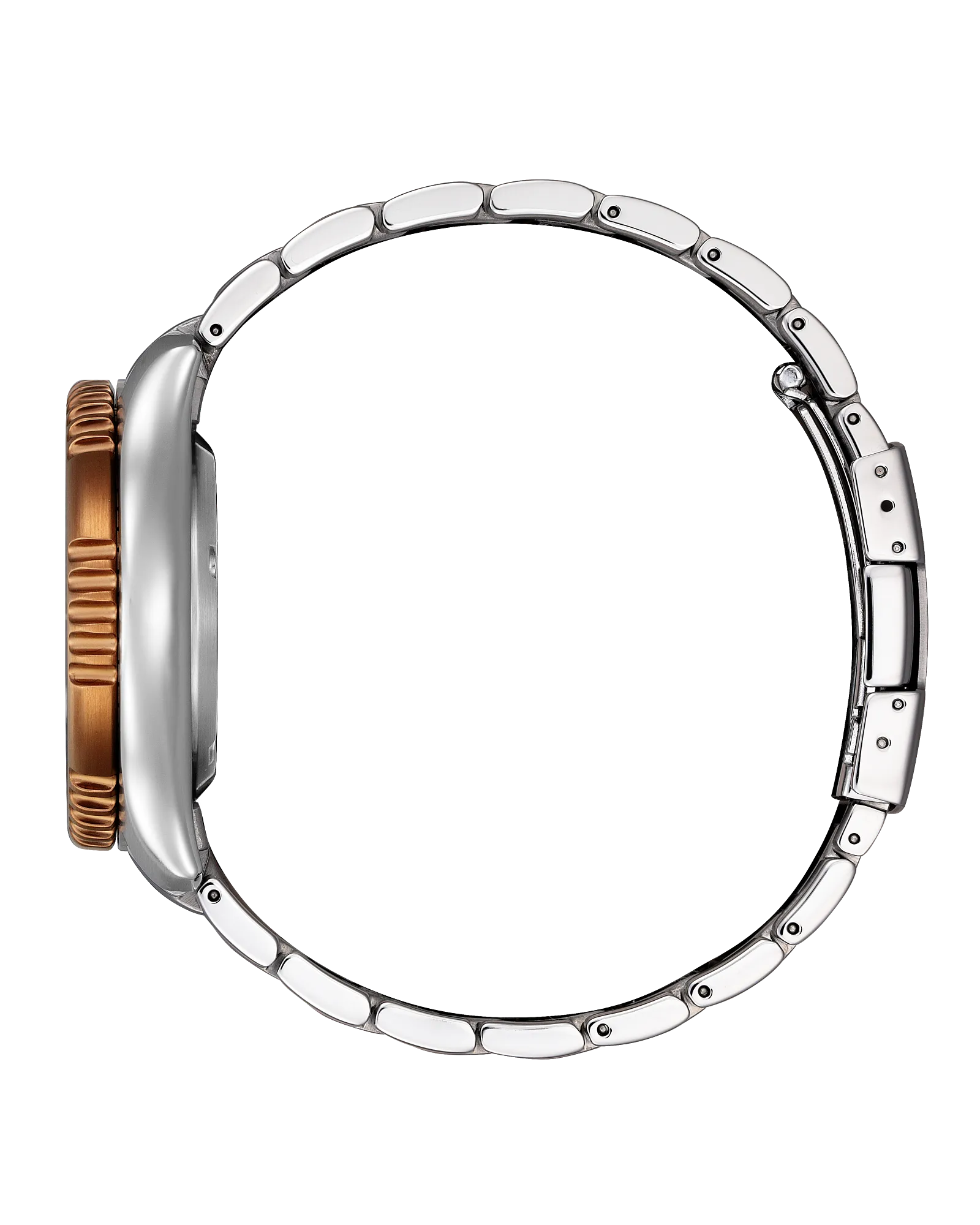 Citizen Automatic - Promaster FUGU - Brown Dial Limited Edition