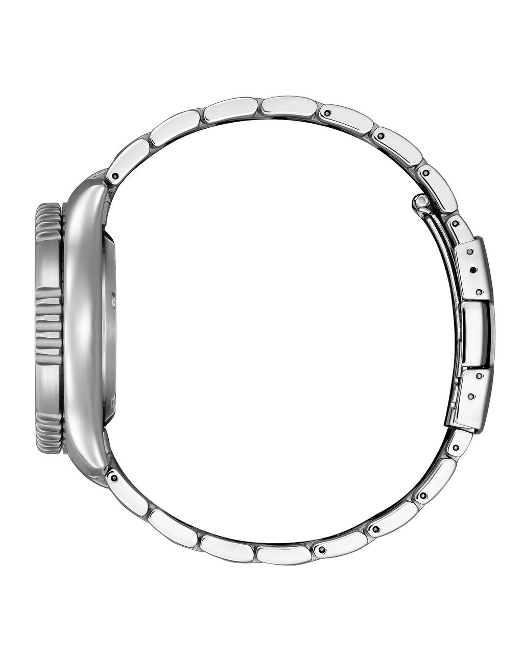 Citizen Automatic - Promaster FUGU - Black Dial Limited Edition