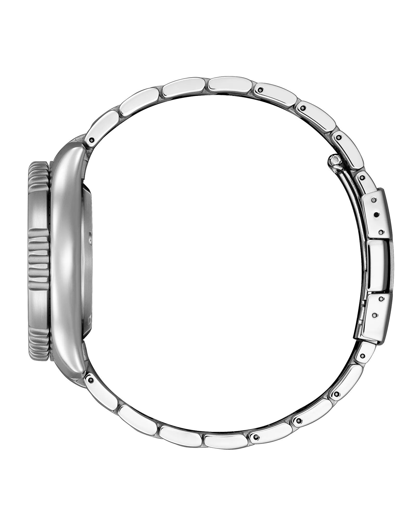 Citizen Automatic - Promaster FUGU - Black Dial Limited Edition