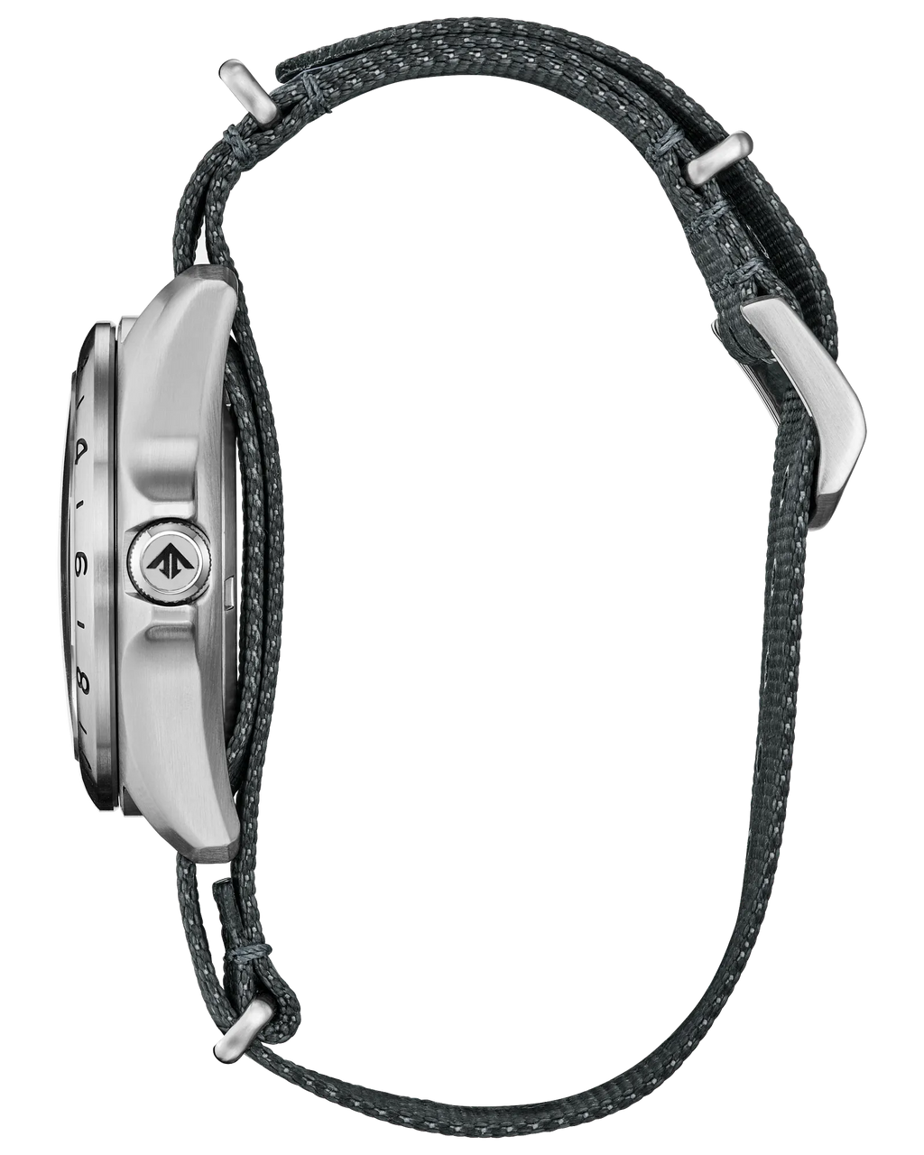 Citizen - Promaster Land GMT