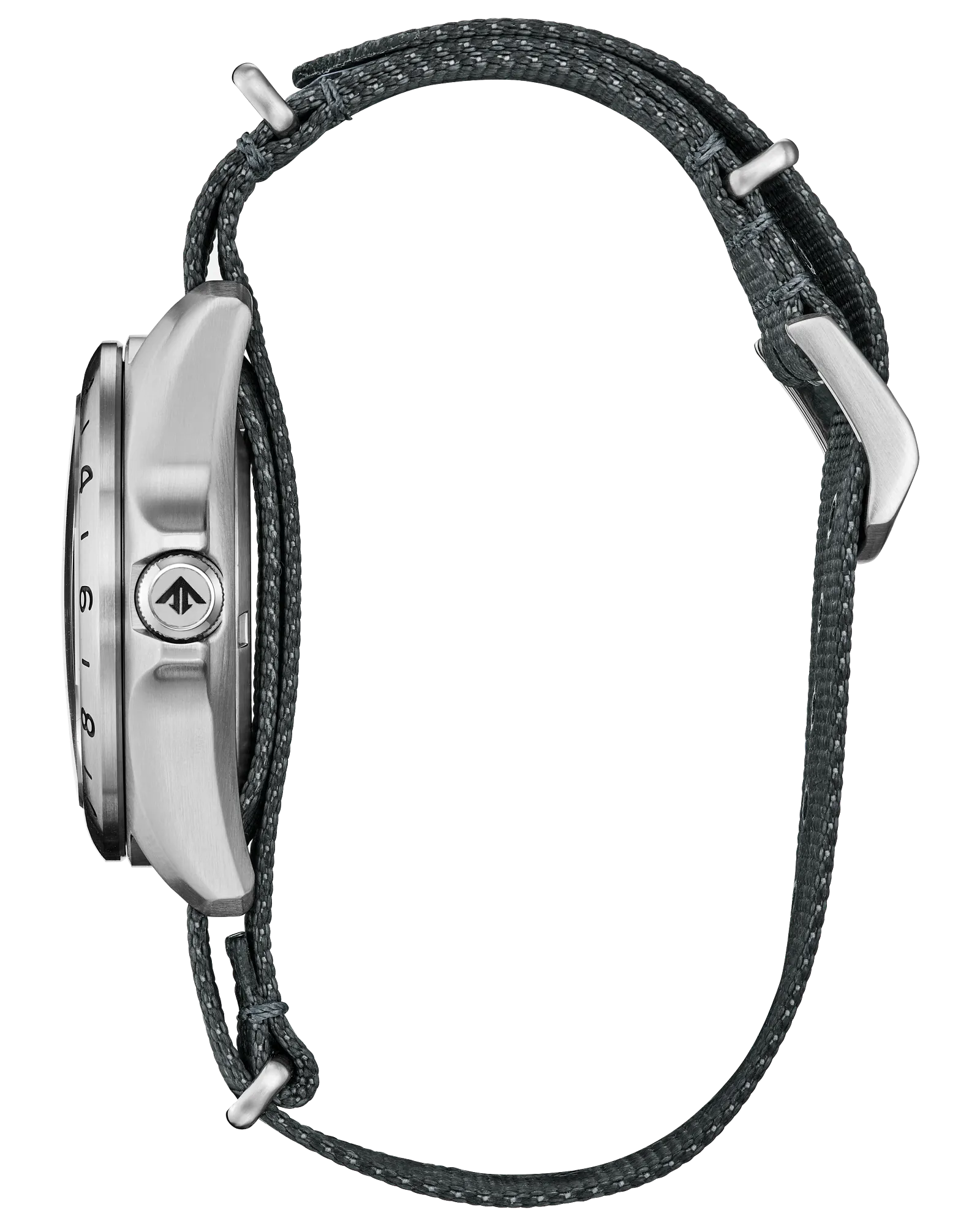 Citizen - Promaster Land GMT