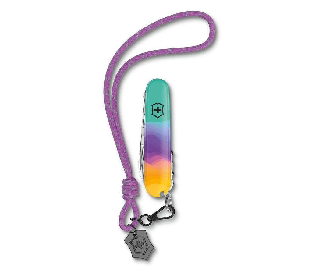 Victorinox - Small Swiss Army Knife 0.6223.94-X2