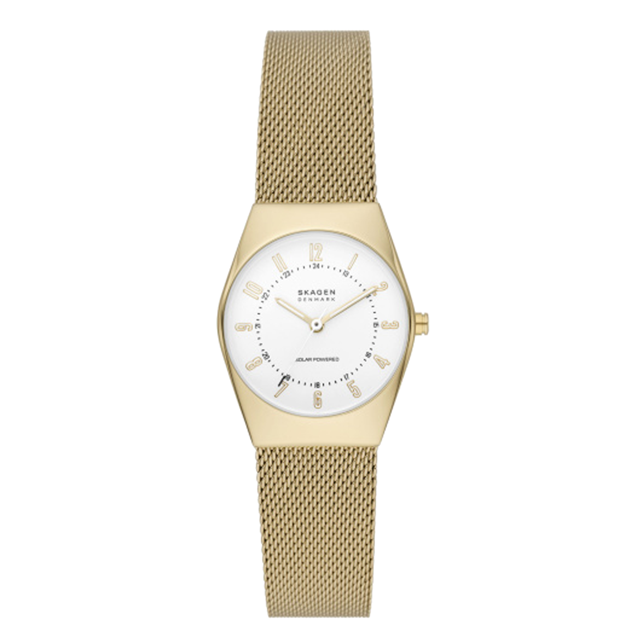 Skagen Grenen - SKW3077