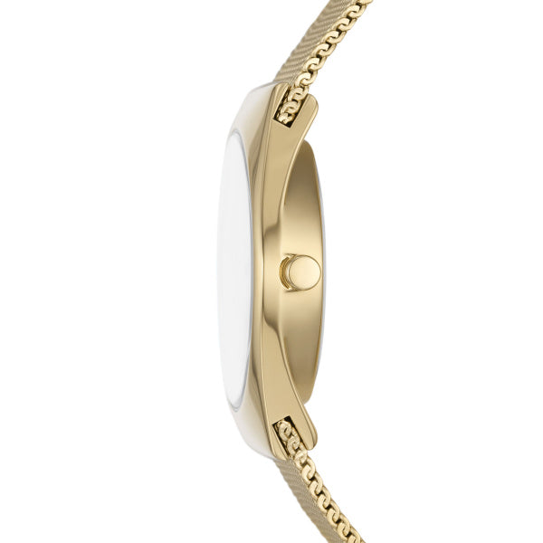 Skagen Grenen - SKW3077