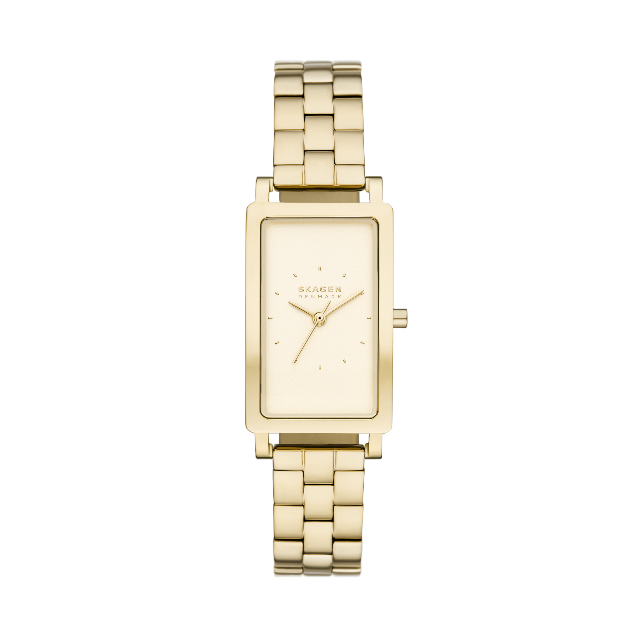 Skagen SKW3098 front view