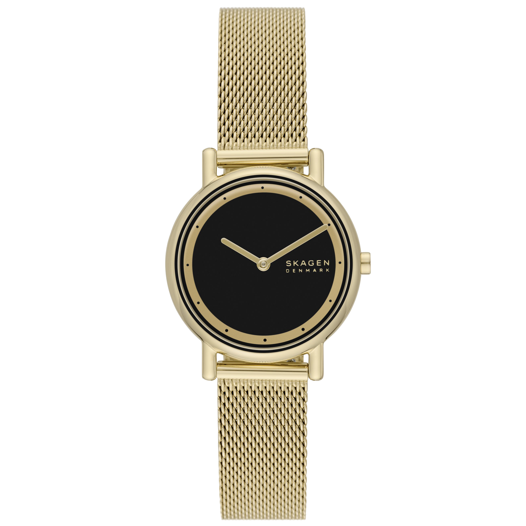 Skagen - Signatur Lille SKW3111