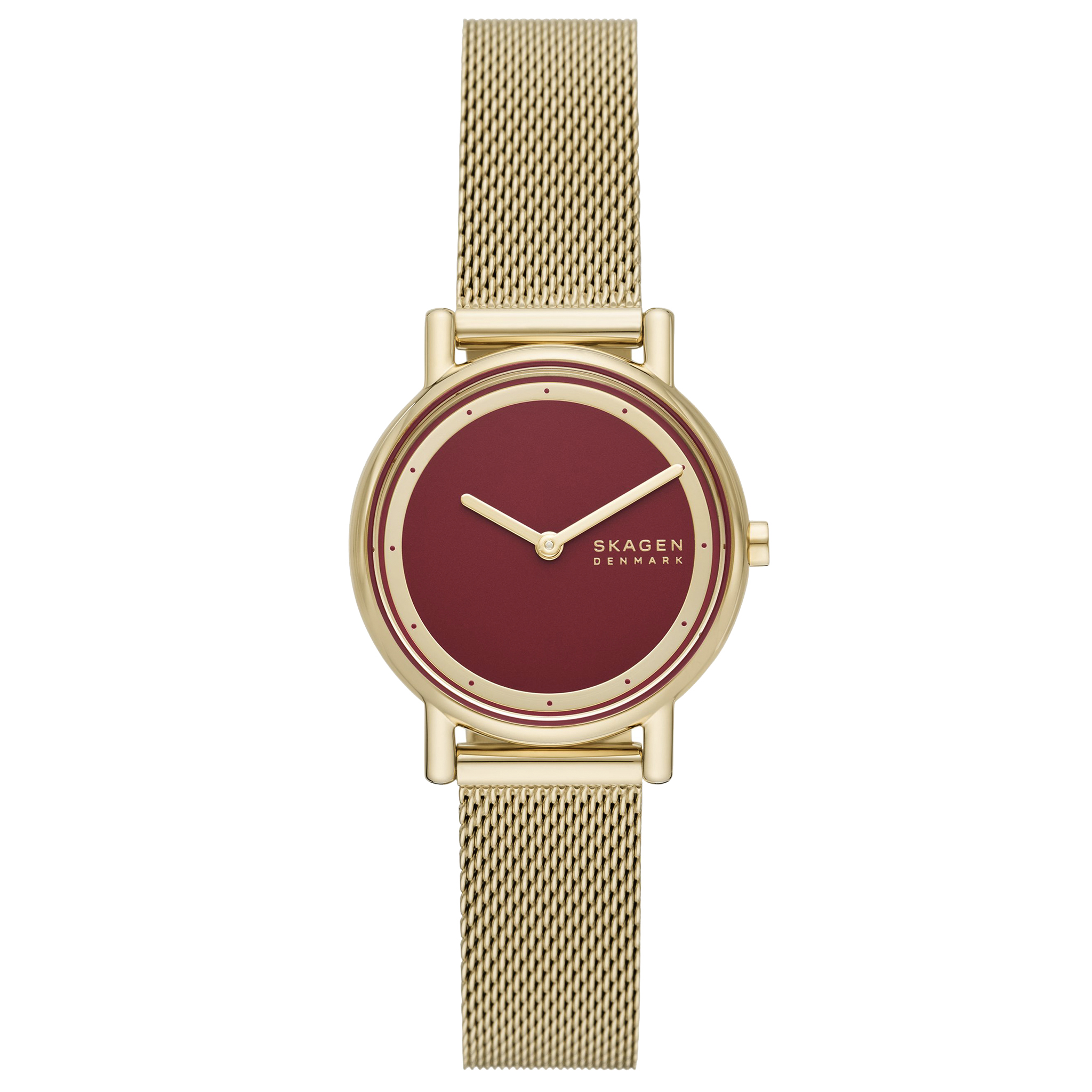 Skagen - Signatur Lille SKW3117