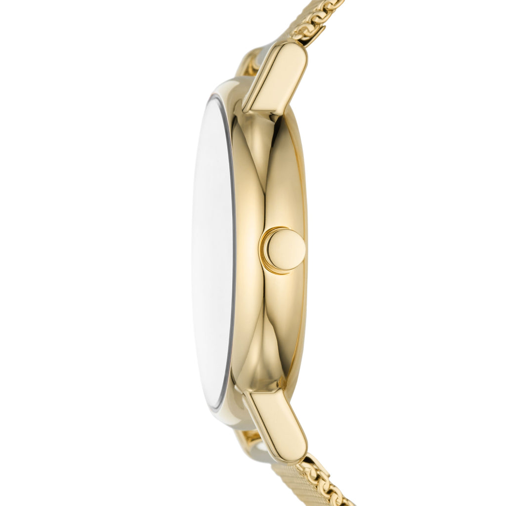 Skagen - Signatur Lille SKW3117