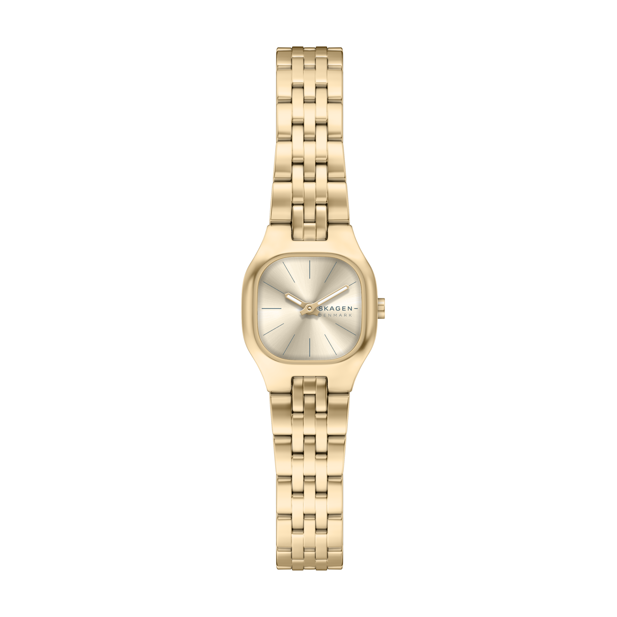Skagen SKW3177 front view