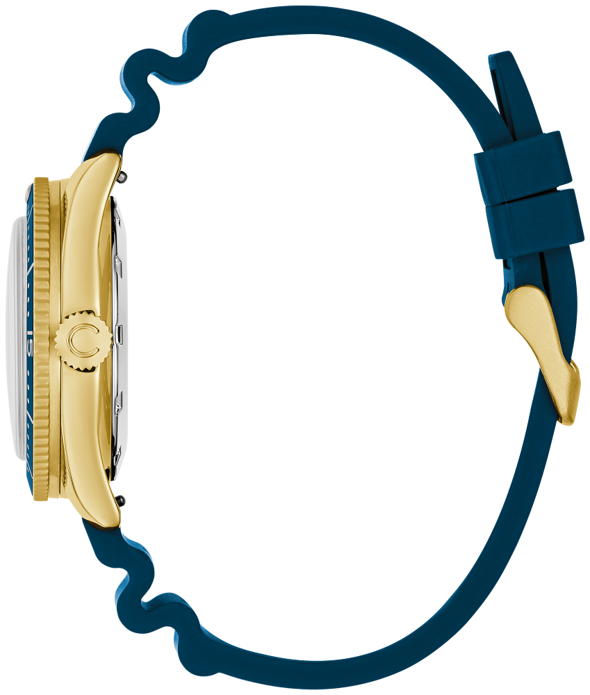 Montre Caravelle - Extension