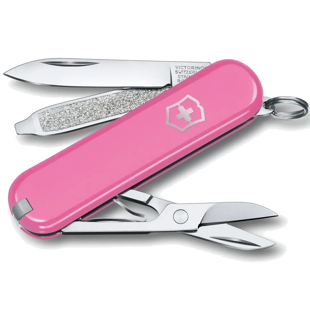Victorinox - Small Swiss Army Knife 