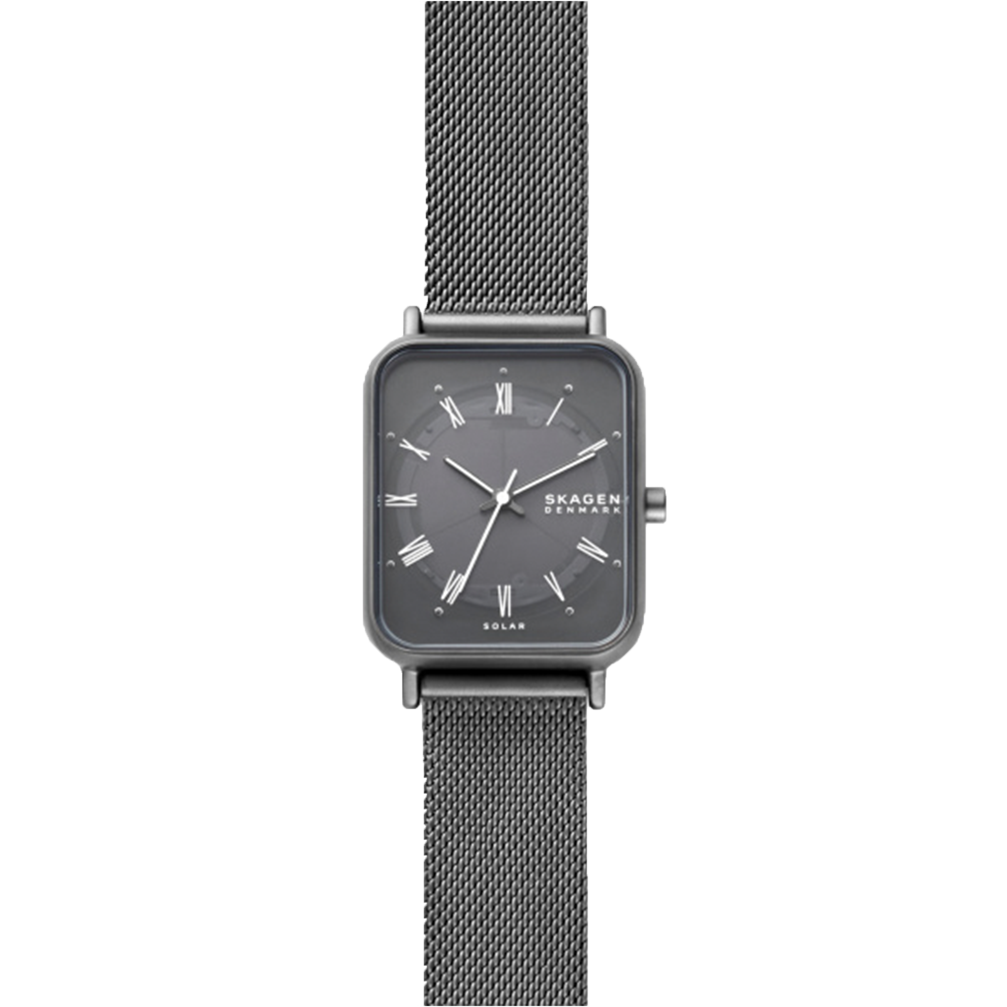 Skagen Watch - SKW3000