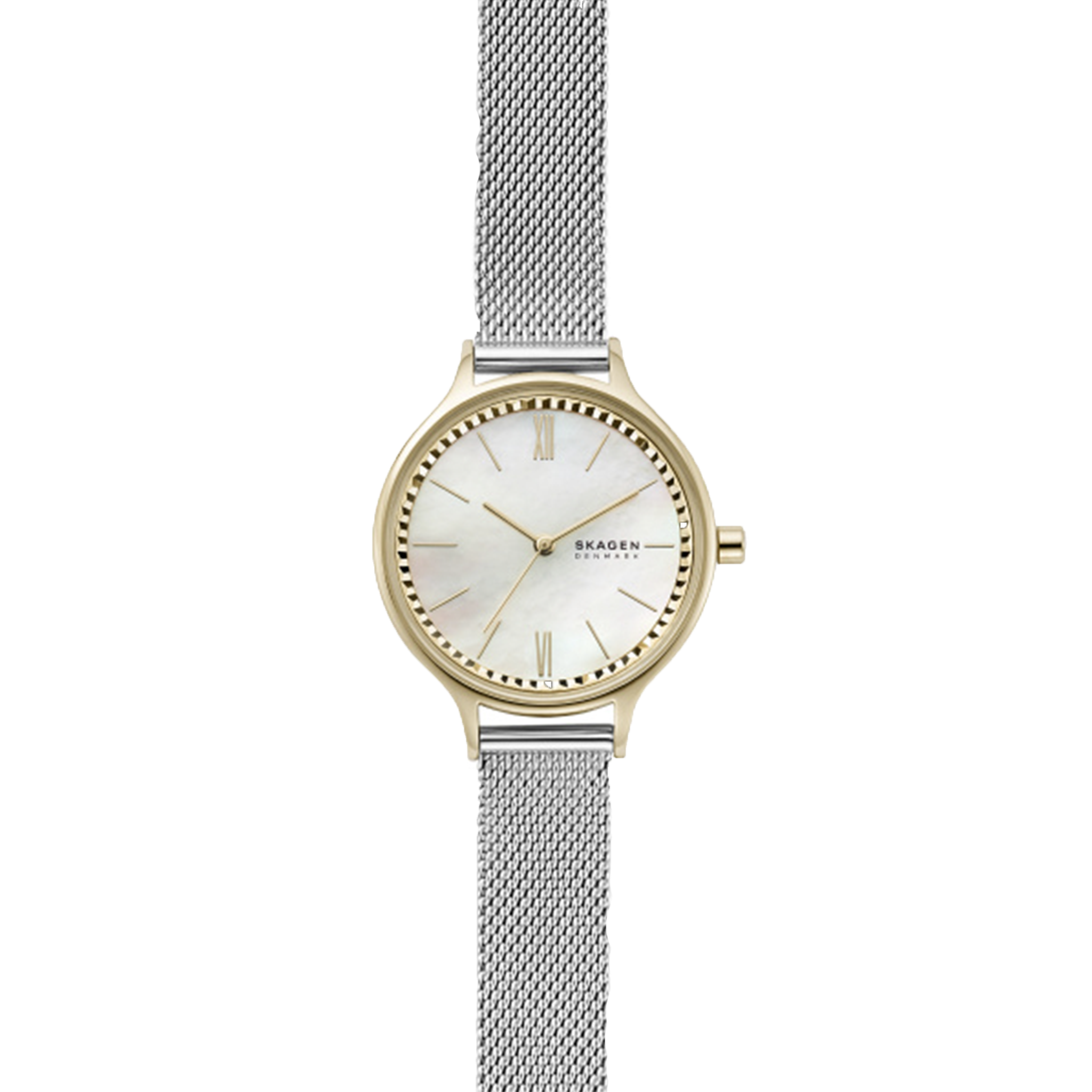 Skagen Watch Anita - SKW2866