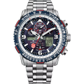 Citizen JY8071-51L Snowbirds