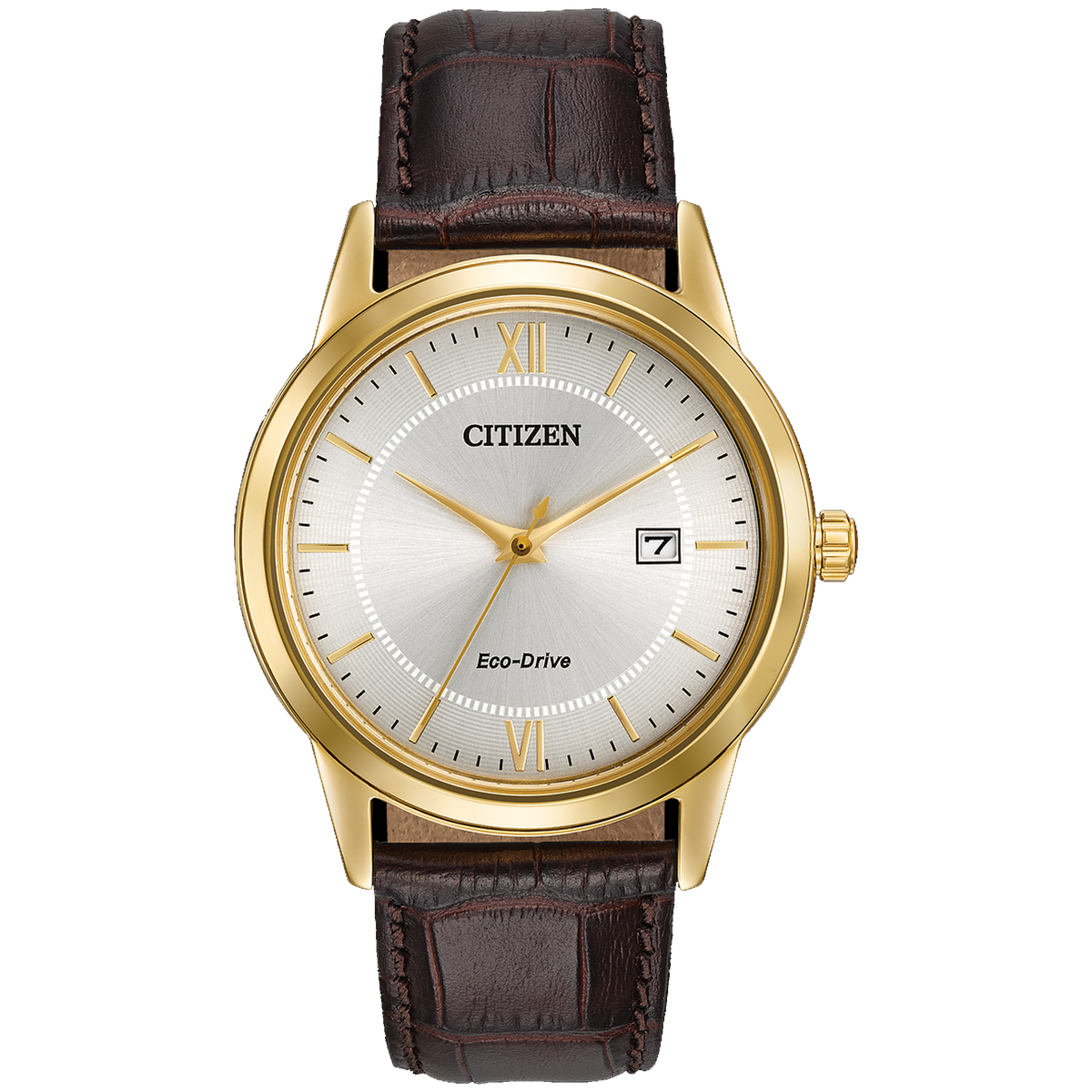 Citizen Eco-Drive - Gold with Brown Leather Strap