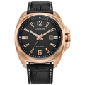 Citizen Eco-Drive - Endicott AW1723-02E
