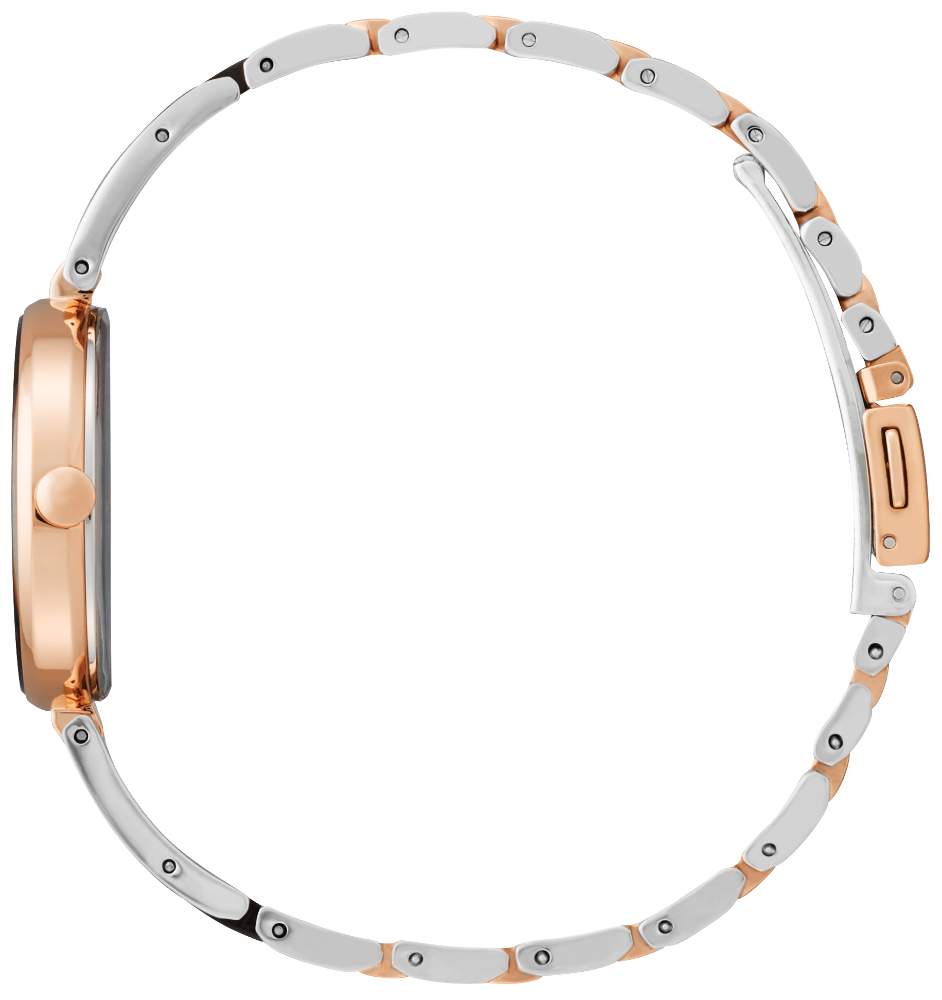 Citizen Eco-Drive - Axiom - EX1536-55E