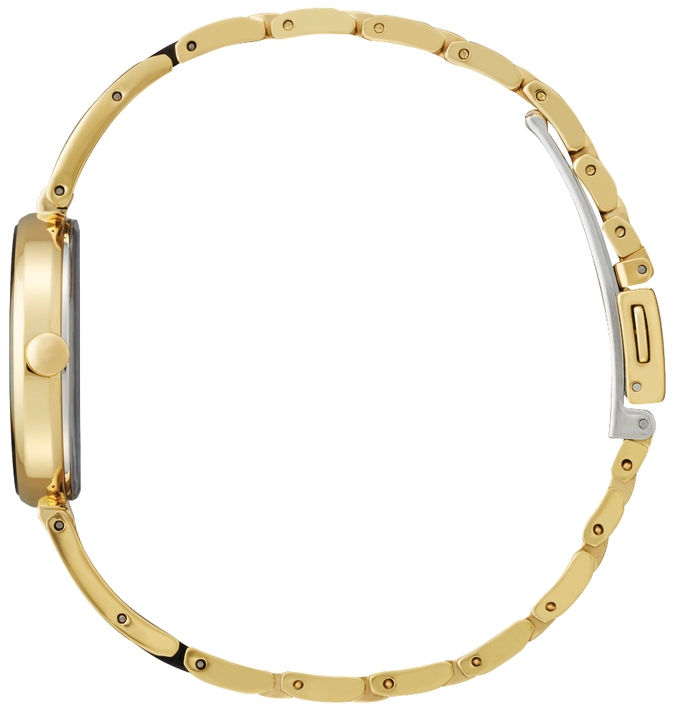 Citizen Eco-Drive - Axiom - EX1539-57E