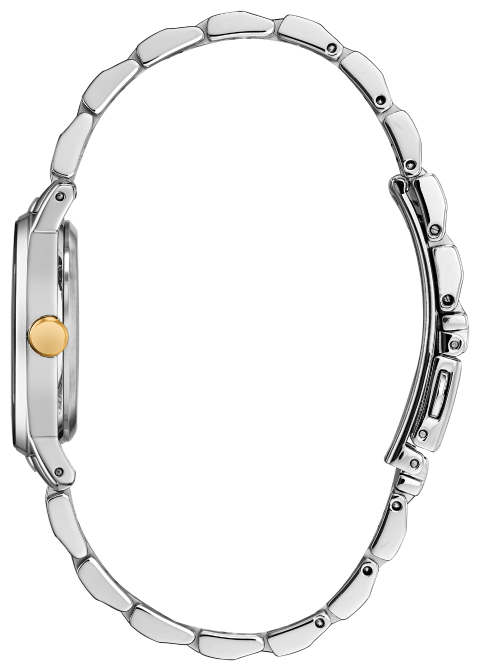 Citizen Eco-Drive -28mm  Axiom Two-Tone EM0734-56D