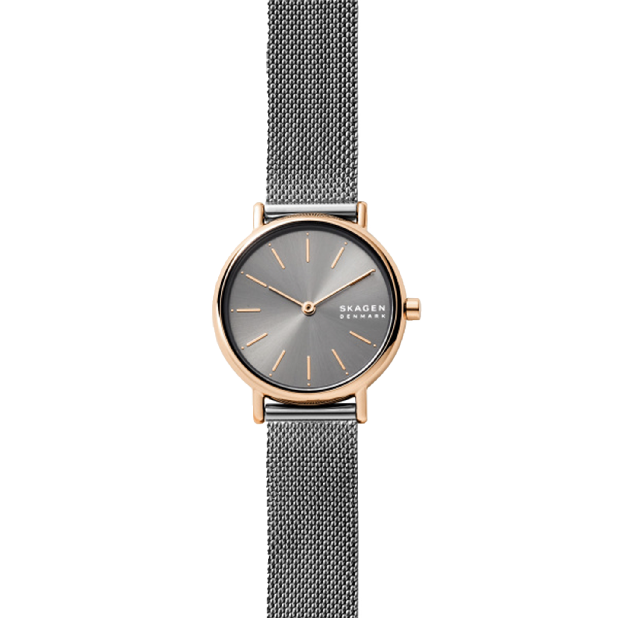 Skagen - Signatur Lille SKW2996