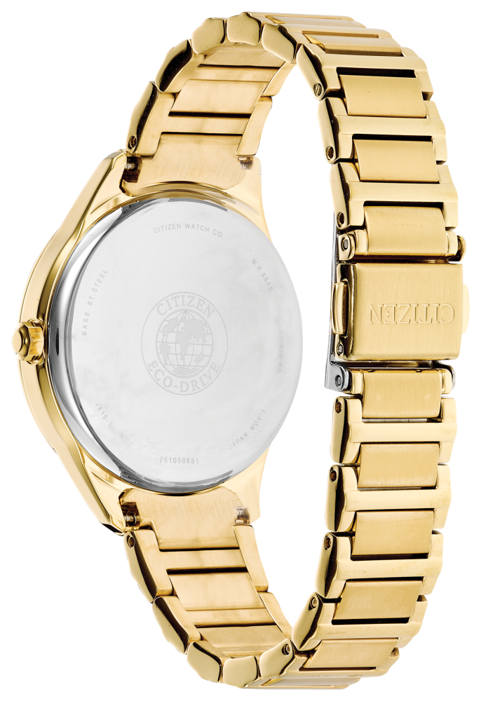 Citizen Eco-Drive: FE6102-53A