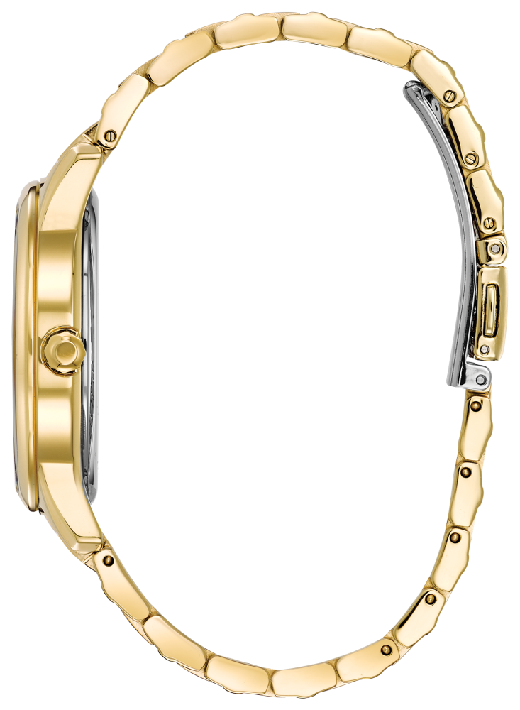 Citizen Eco-Drive: FE6102-53A