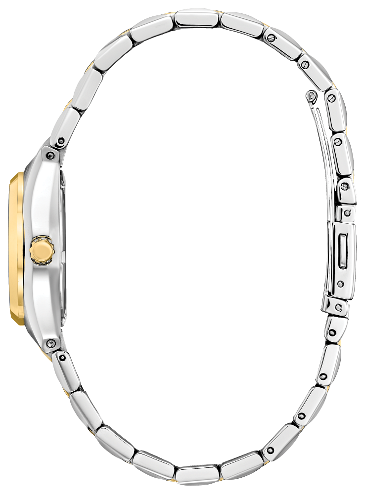 Citizen Eco-Drive - Corso - EW2299-50E