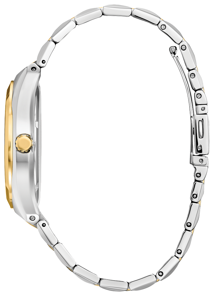 Citizen Eco-Drive - Corso - BM7334-58E