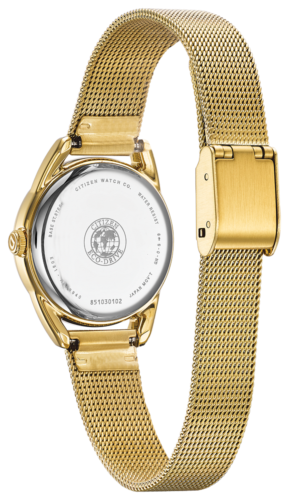 Citizen Eco-Drive - LTR - EM0682-58P