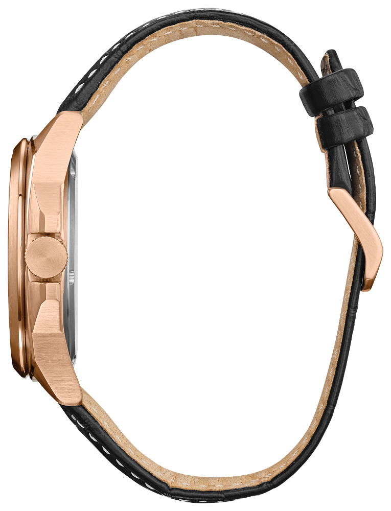 Citizen Eco-Drive - Endicott AW1723-02E