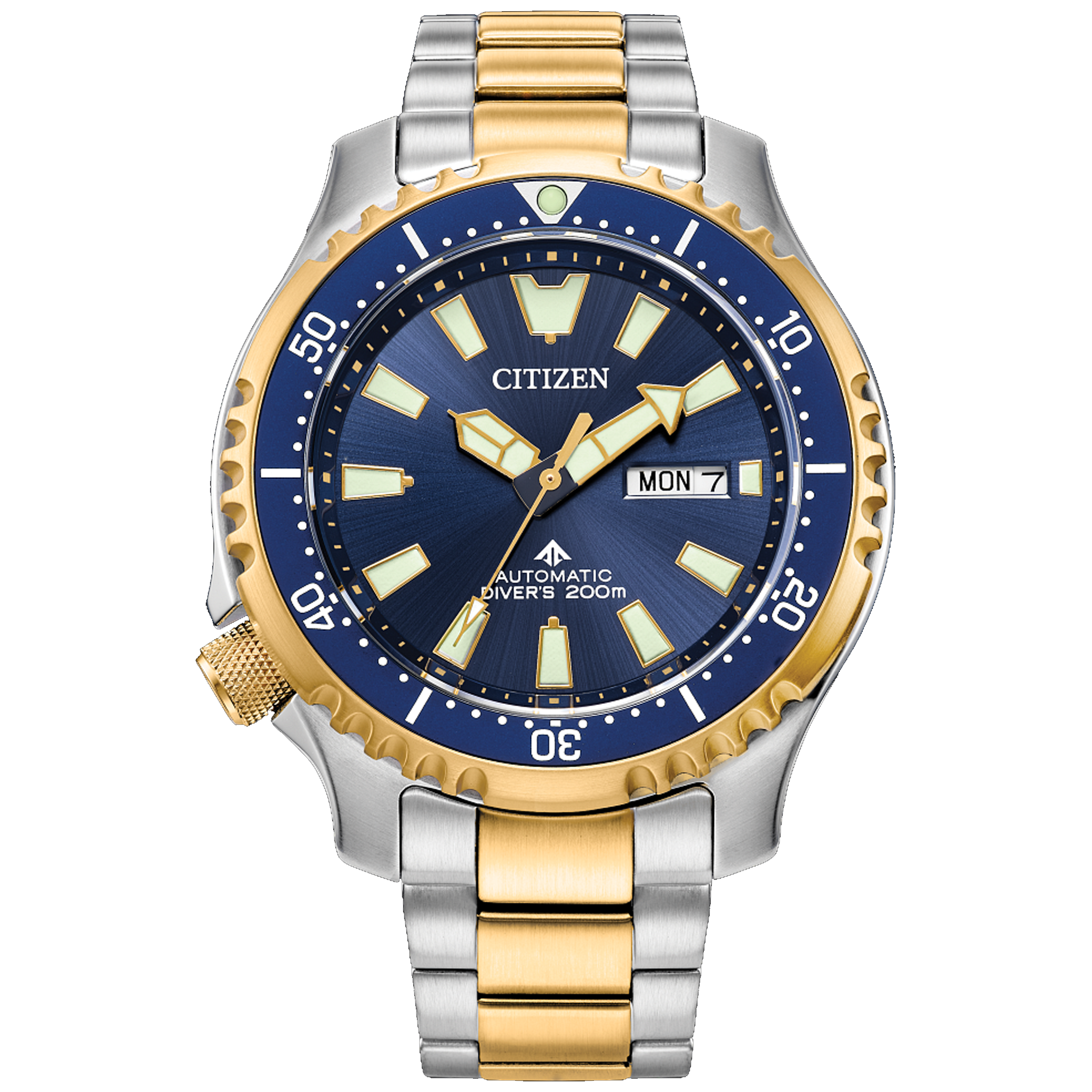 Citizen Eco-Drive - Promaster NY0154-51L