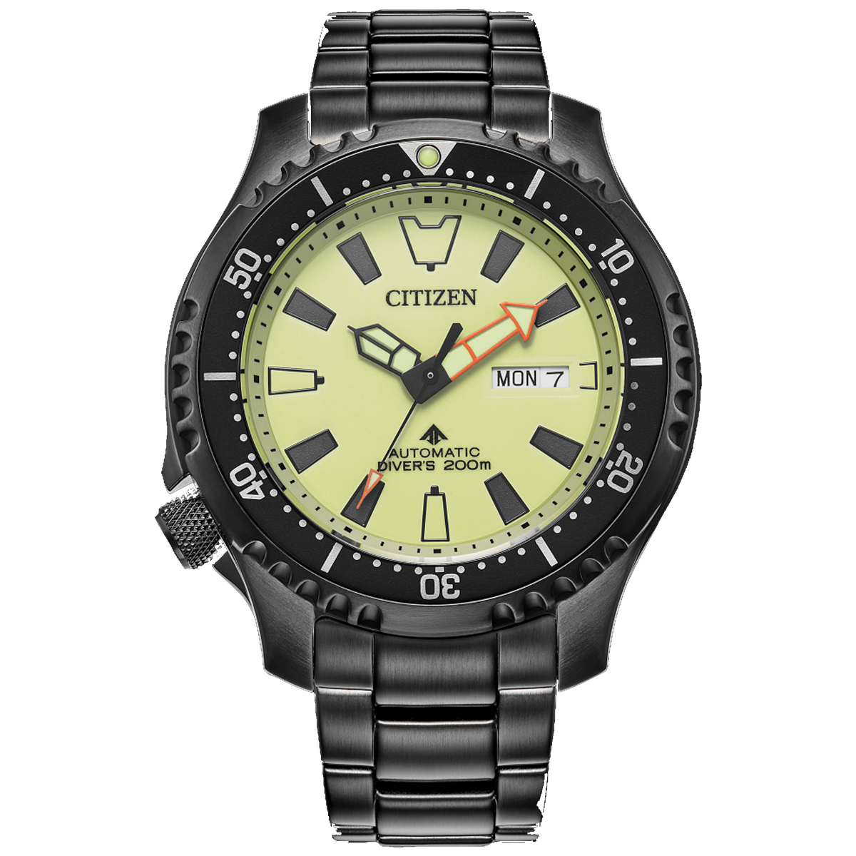 Citizen Eco Drive Promaster FUGU NY0155 58X