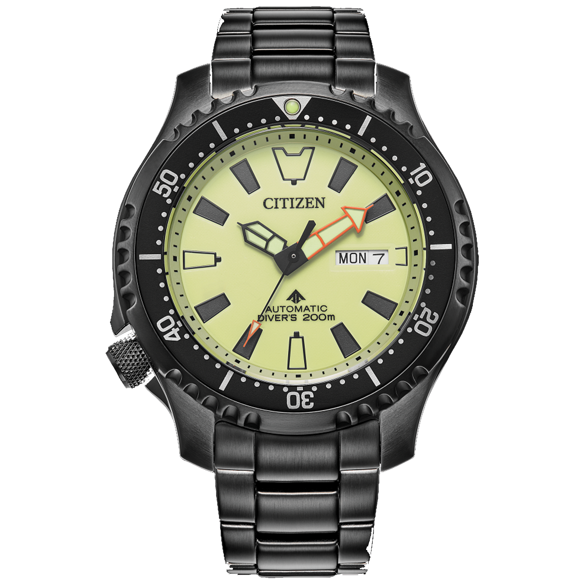 Citizen fugu watch online