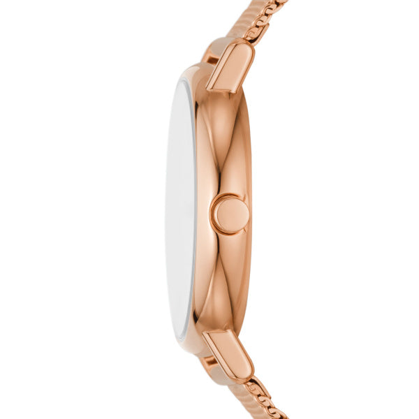 Skagen - Signatur Lille SKW1153SET